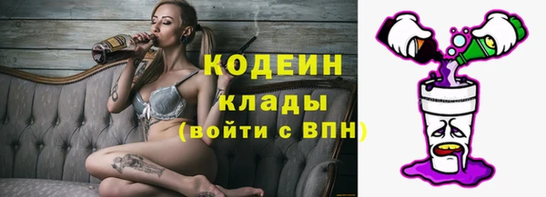 мдпв Козельск