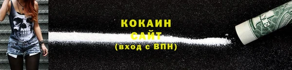 прущие грибы Козловка
