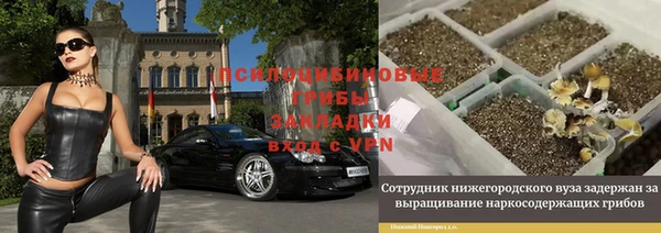 мдпв Козельск