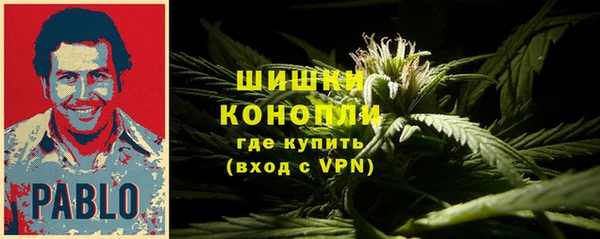 мдпв Козельск