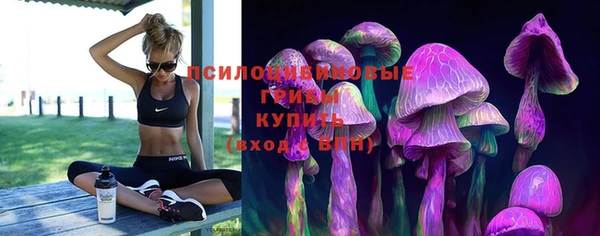 прущие грибы Козловка