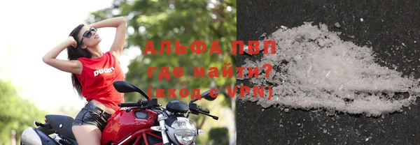 прущие грибы Козловка